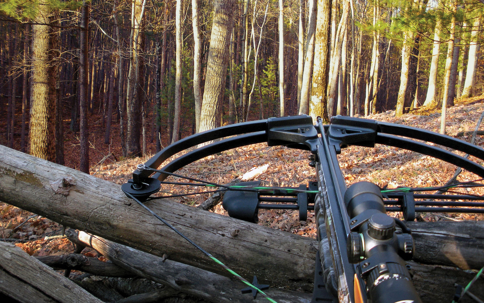 Crossbow